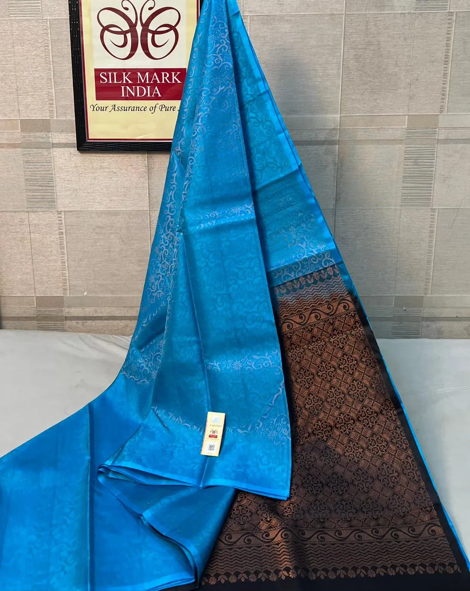 Sky Blue & Black kanchipuram pure silk saree